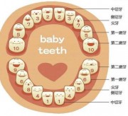 婴儿什么时候长乳牙？了解宝宝长牙顺序，妈妈心中不慌